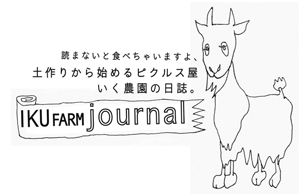 IKU FARM JOURNAL ピクルス　いく農園　ブログ　無肥料栽培