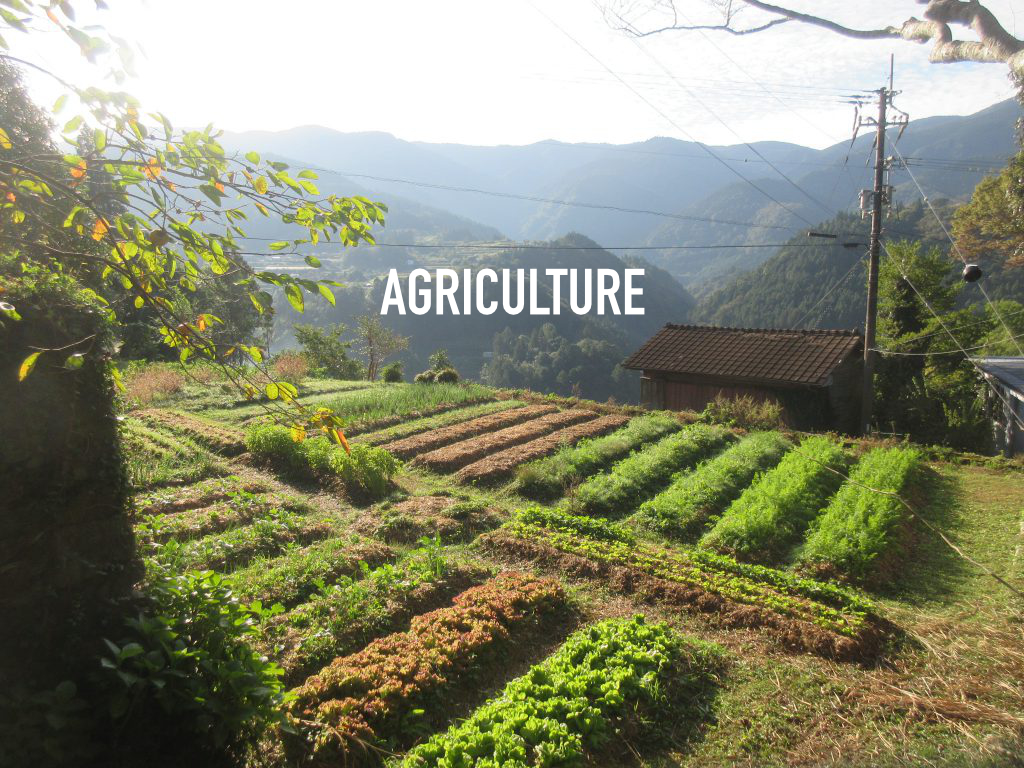 agriculture 農業について　畑　不耕起　無肥料栽培　ピクルス屋いく農園